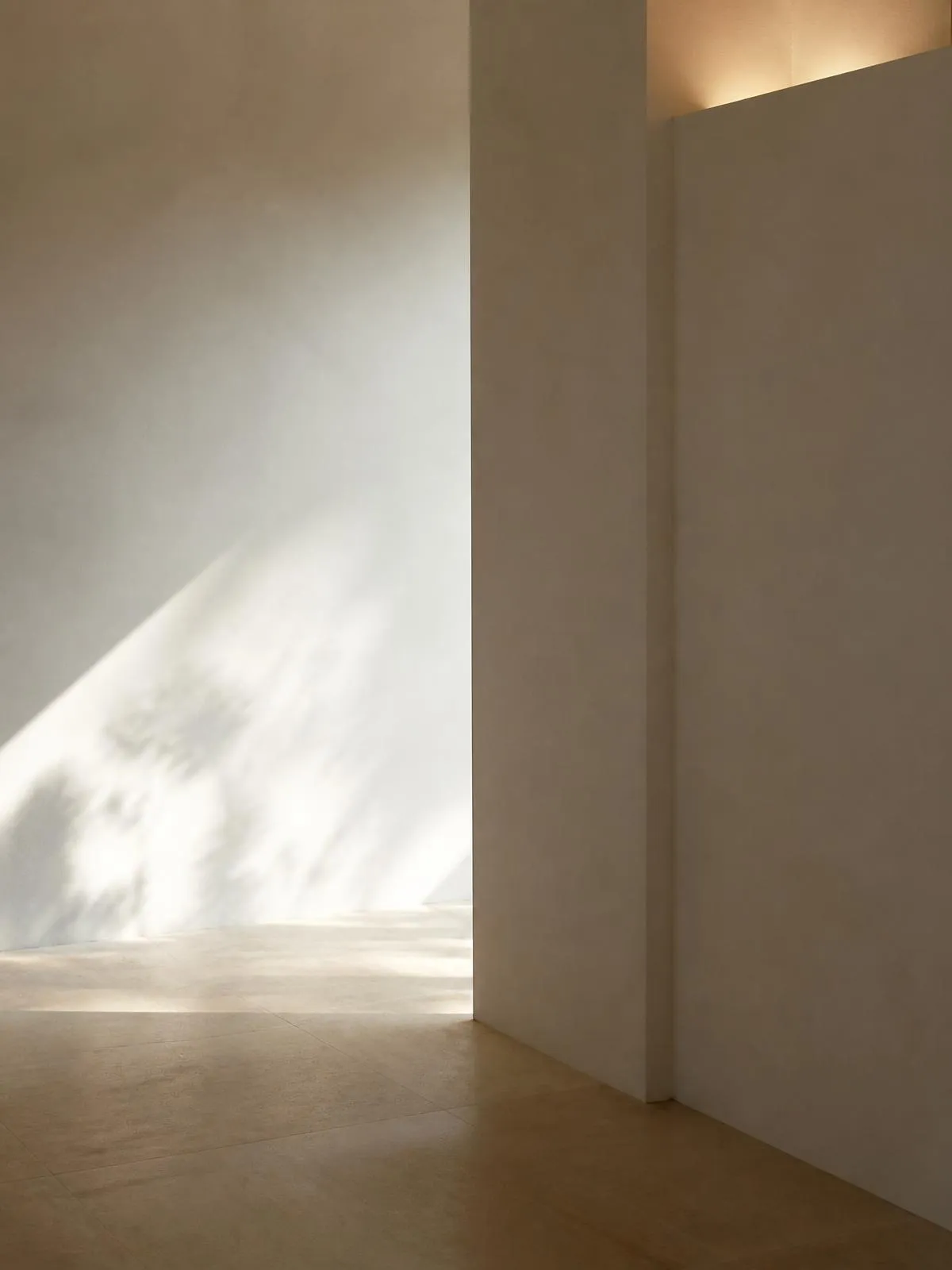 Mur en plâtre lissé baigné d'une lumière rasante dans un intérieur épuré